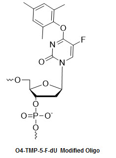 Bio-Synthesis Inc. Oligo Structure